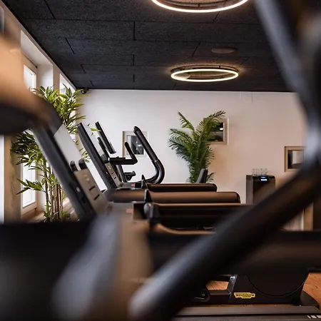Otel Alm- & Wellnesshotel Alpenhof