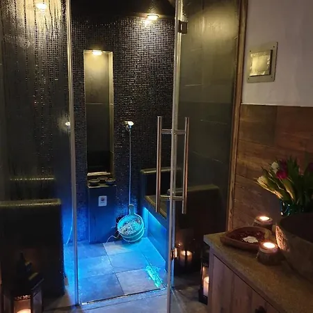 阿尔本胡夫阿尔卑斯健康酒店 4*