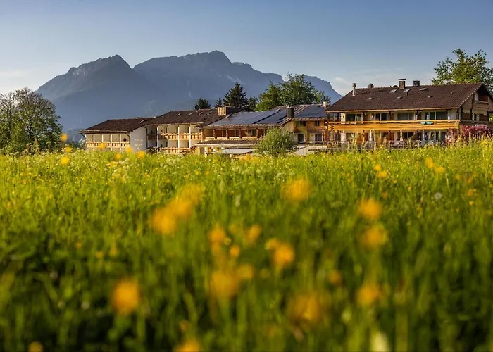 Hotel Alm- & Wellnesshotel Alpenhof