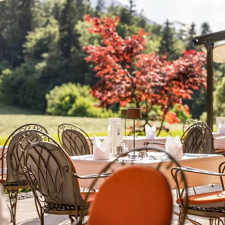 Alm- & Wellnesshotel Alpenhof