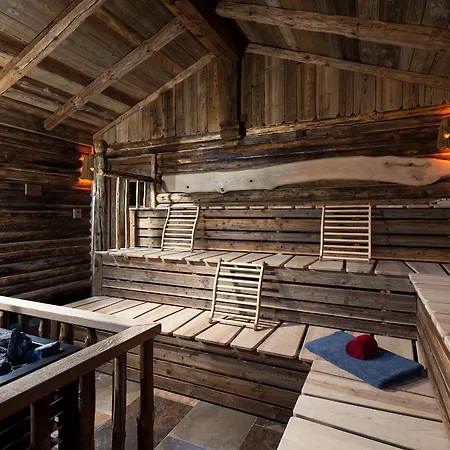Alm-&wellnesshotel Alpenhof